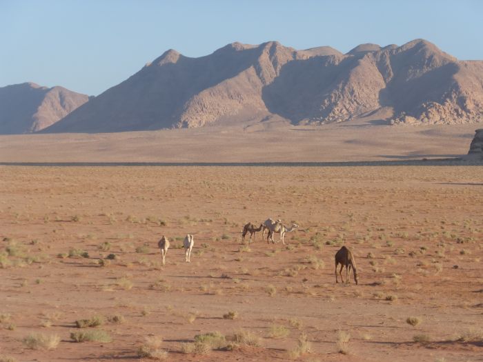 Wadi Rum - the most spectacular desert in the world