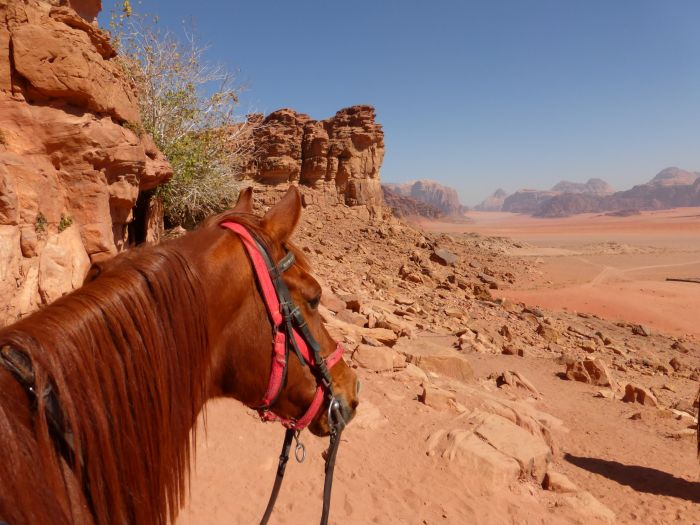Wadi Rum - the most spectacular desert in the world
