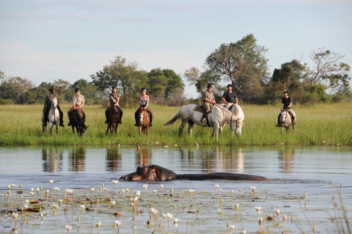 Best of Botswana - Kombi-Reitsafari Tuli und Okavango