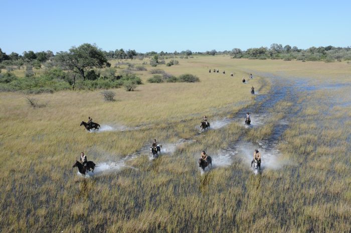 Best of Botswana - Kombi-Reitsafari Tuli und Okavango