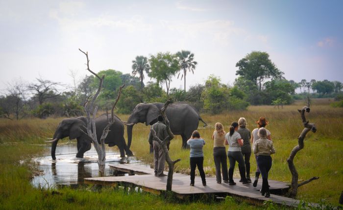 Best of Botswana - Kombi-Reitsafari Tuli und Okavango