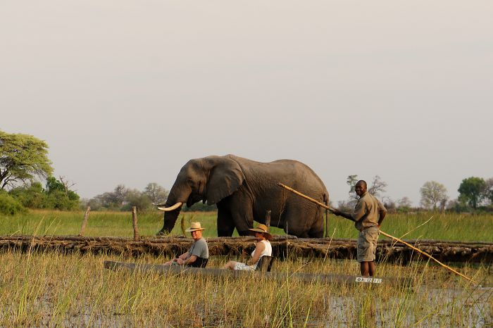 Pferdesafari Okavango Delta, Botswana
