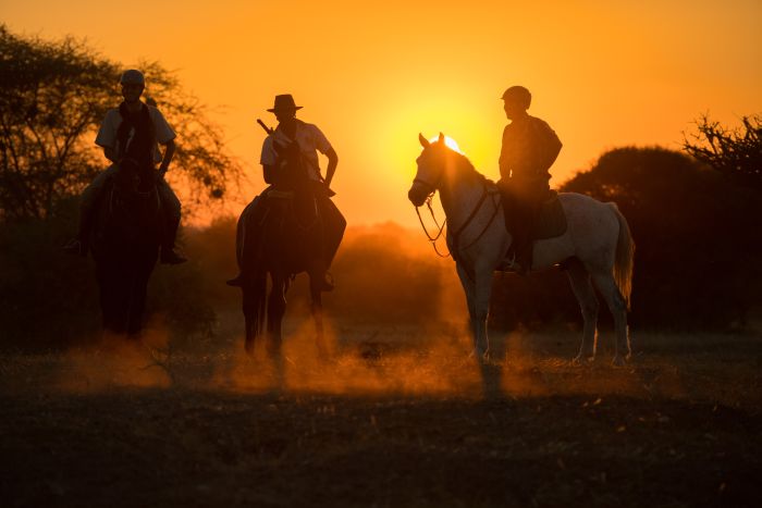 Countryside of the Giants - Tuli Riding Safari Botswana