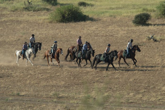 Countryside of the Giants - Tuli Riding Safari Botswana
