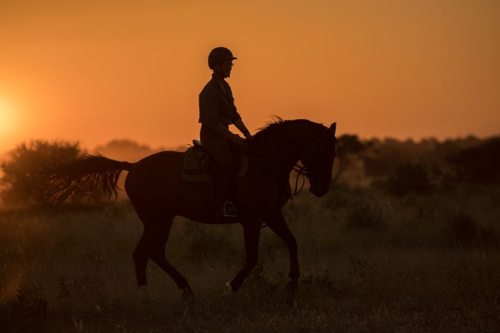 Countryside of the Giants - Tuli Riding Safari Botswana