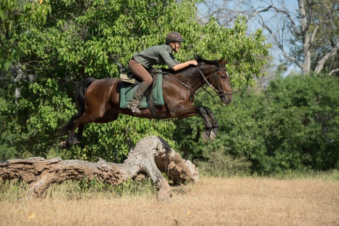 Countryside of the Giants - Tuli Riding Safari Botswana