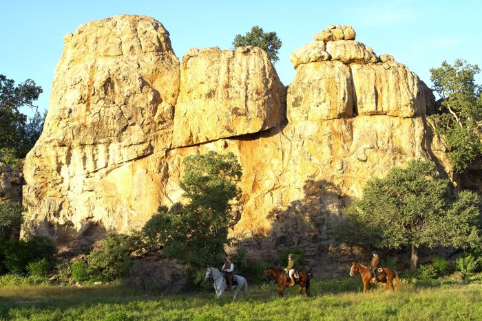 Countryside of the Giants - Tuli Riding Safari Botswana