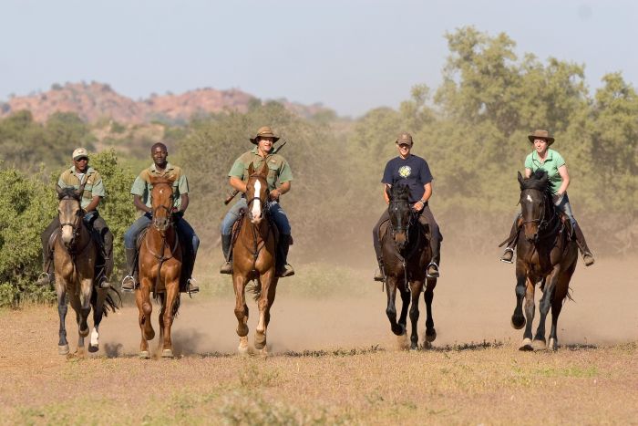 Countryside of the Giants - Tuli Riding Safari Botswana