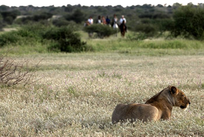 Countryside of the Giants - Tuli Riding Safari Botswana