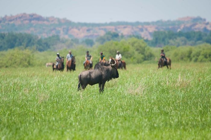 Countryside of the Giants - Tuli Riding Safari Botswana