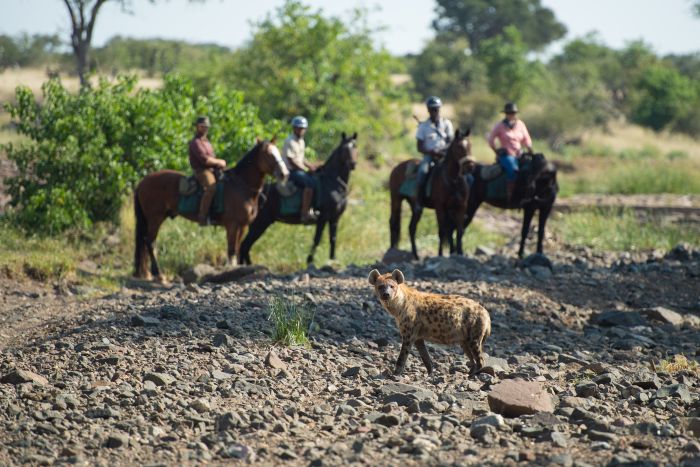 Countryside of the Giants - Tuli Riding Safari Botswana