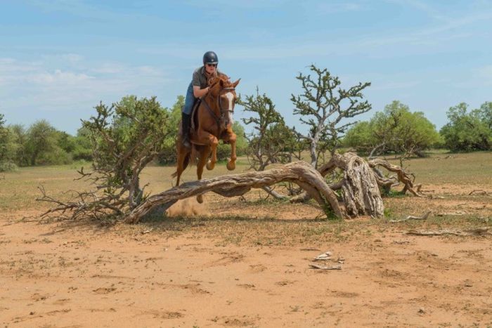 Countryside of the Giants - Tuli Riding Safari Botswana
