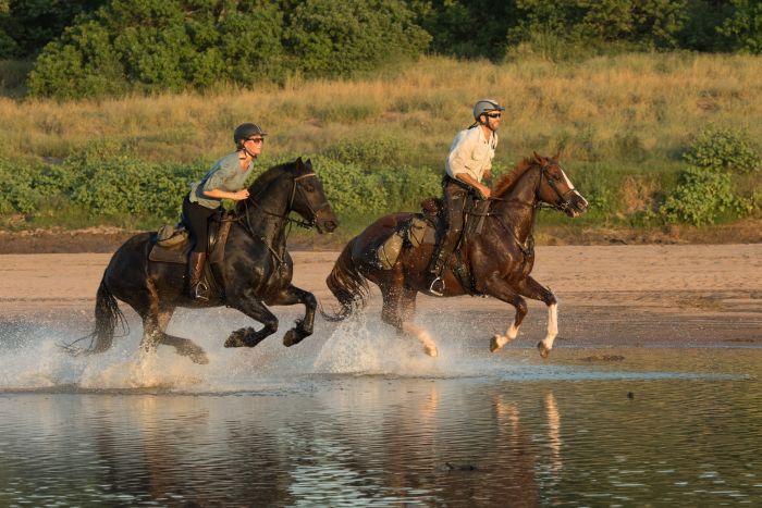 Countryside of the Giants - Tuli Riding Safari Botswana