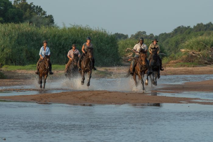 Countryside of the Giants - Tuli Riding Safari Botswana