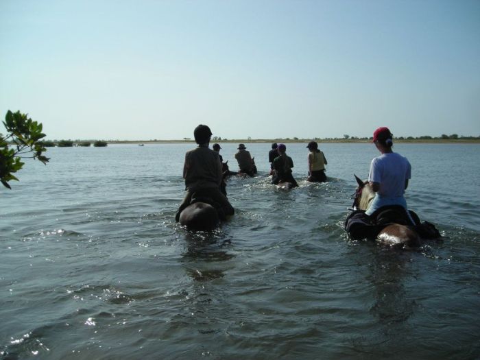 Ride through West Africa´s savannah to the coast