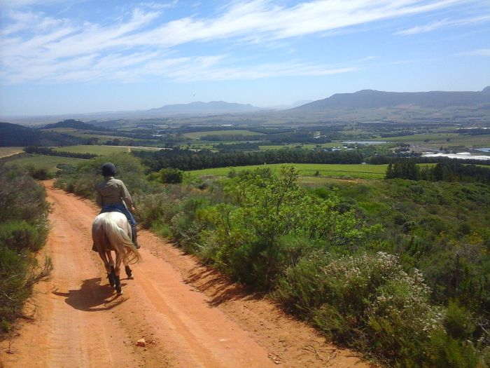 Wine tasting and riding holiday for connoisseurs at the Cape