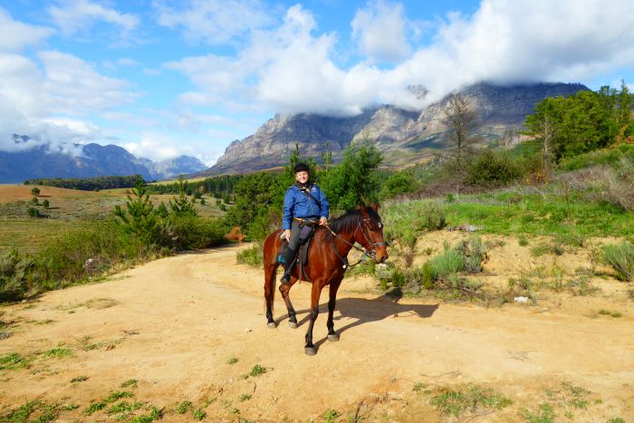 Wine tasting and riding holiday for connoisseurs at the Cape