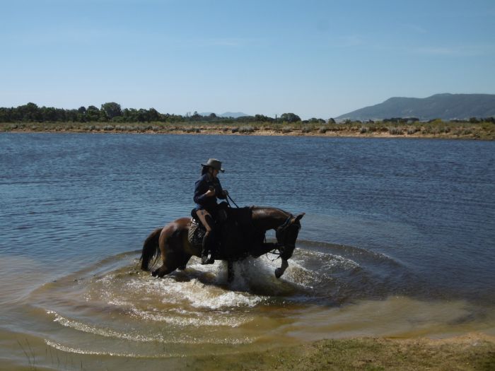 Wine tasting and riding holiday for connoisseurs at the Cape