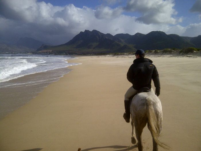 Wine tasting and riding holiday for connoisseurs at the Cape