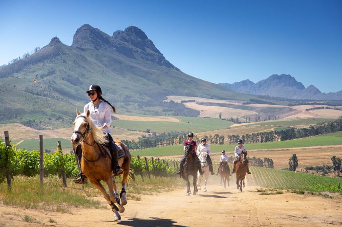 Wine tasting and riding holiday for connoisseurs at the Cape