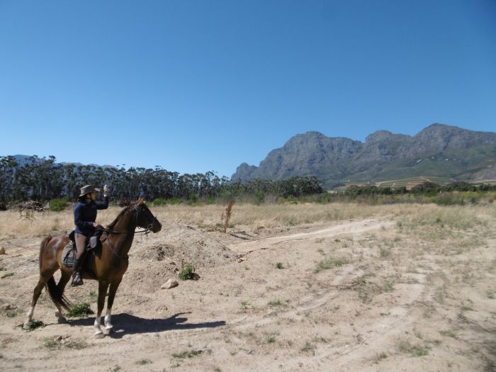 Wine tasting and riding holiday for connoisseurs at the Cape