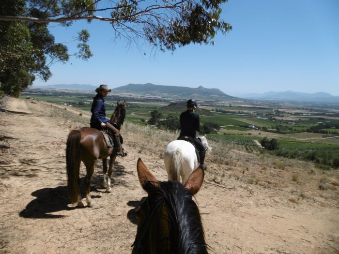 Wine tasting and riding holiday for connoisseurs at the Cape