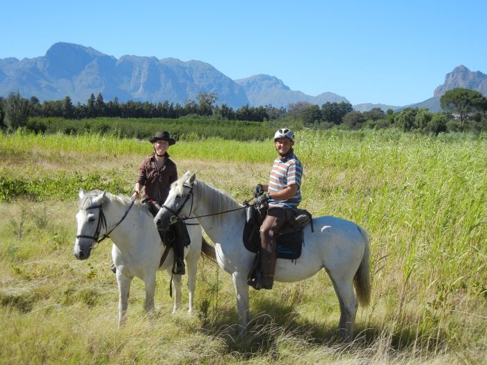 Wine tasting and riding holiday for connoisseurs at the Cape