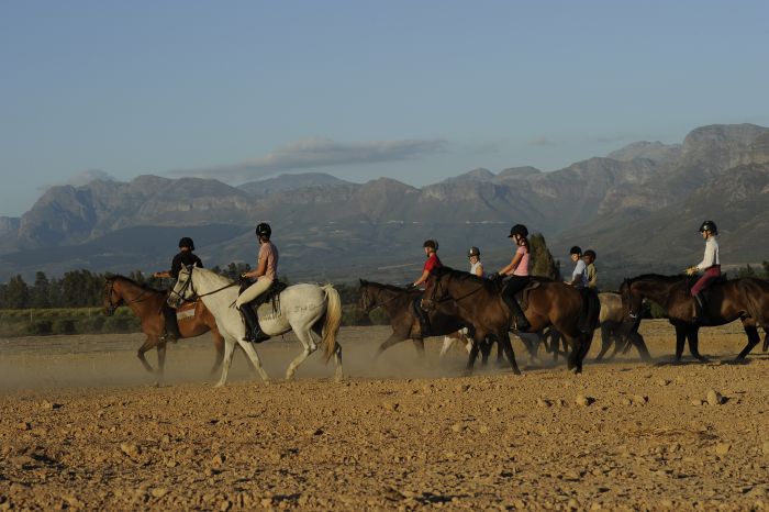 Wine tasting and riding holiday for connoisseurs at the Cape