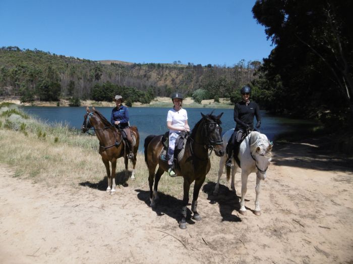 Wine tasting and riding holiday for connoisseurs at the Cape