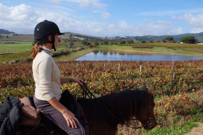 Wine tasting and riding holiday for connoisseurs at the Cape