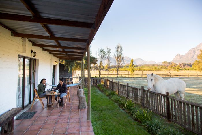 Wine tasting and riding holiday for connoisseurs at the Cape