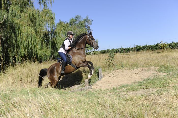 Wine tasting and riding holiday for connoisseurs at the Cape