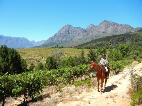 Gourmet and Wine Ride
