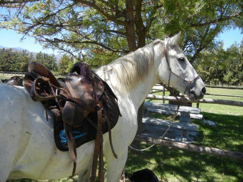 Gourmet and Wine Ride