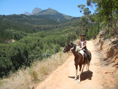Gourmet and Wine Ride
