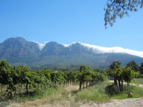 Gourmet and Wine Ride