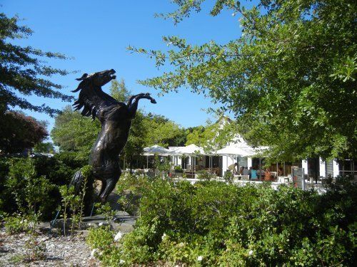 Gourmet and Wine Ride