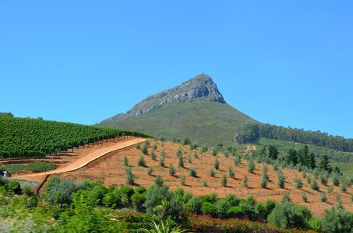 Gourmet and Wine Ride