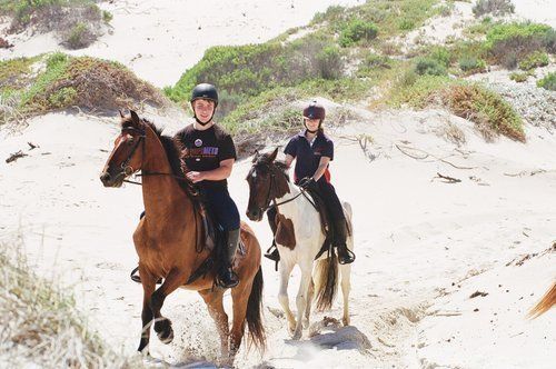 Gourmet and Wine Ride