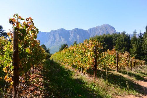 Gourmet and Wine Ride