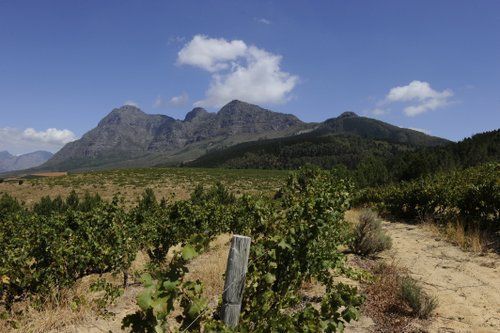 Gourmet and Wine Ride
