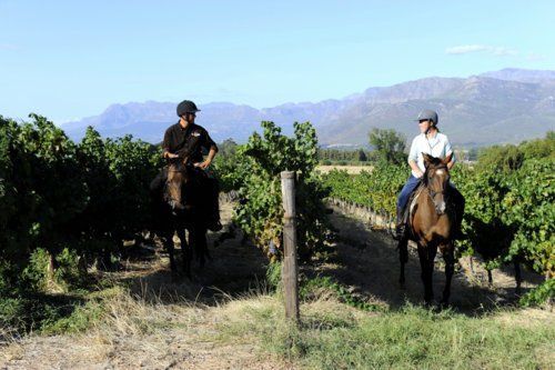 Gourmet and Wine Ride