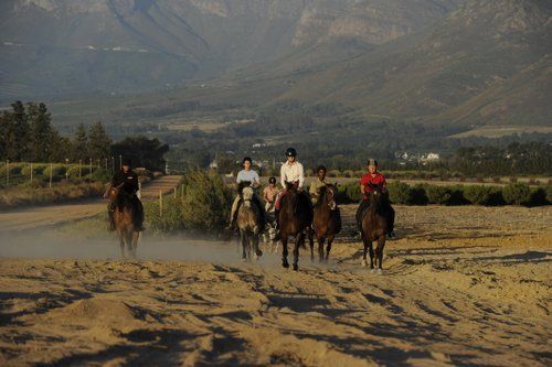 Gourmet and Wine Ride