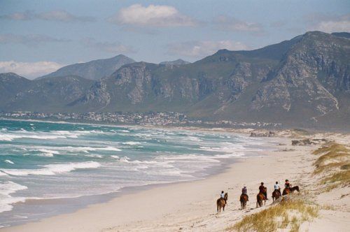 Gourmet and Wine Ride