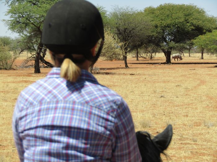 Wilderness Riding Safari on the Edge od the Kalahari