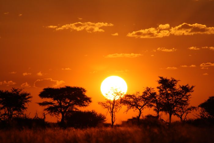 Wilderness Riding Safari on the Edge od the Kalahari