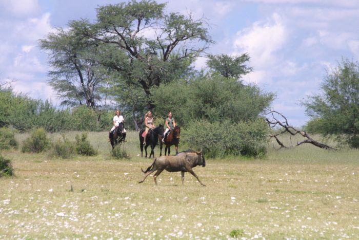 Wilderness Riding Safari on the Edge od the Kalahari