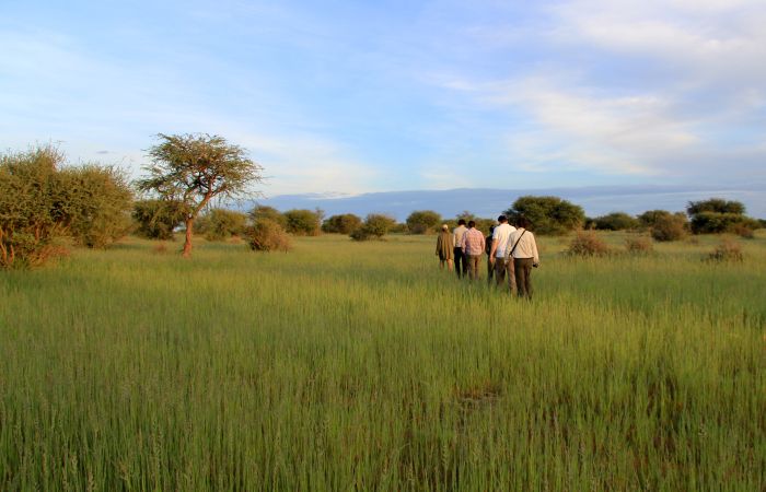 Wilderness Riding Safari on the Edge od the Kalahari