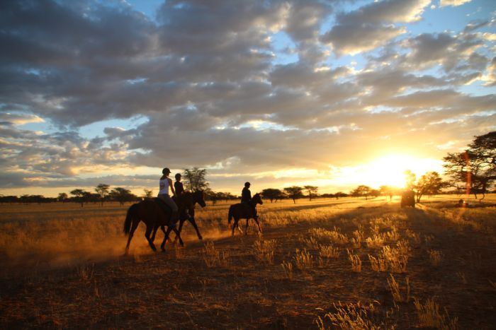 Wilderness Riding Safari on the Edge od the Kalahari