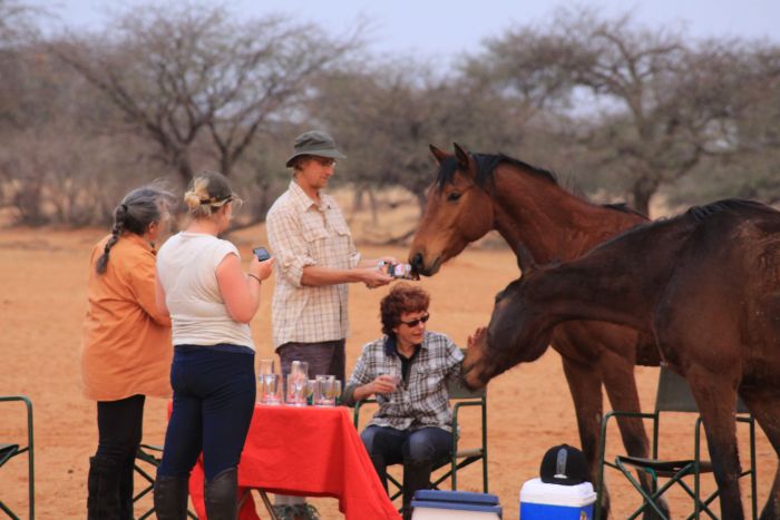 Wilderness Riding Safari on the Edge od the Kalahari
